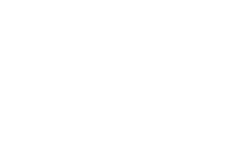 bg-v